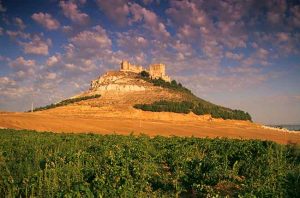 Castilla y Leon wines