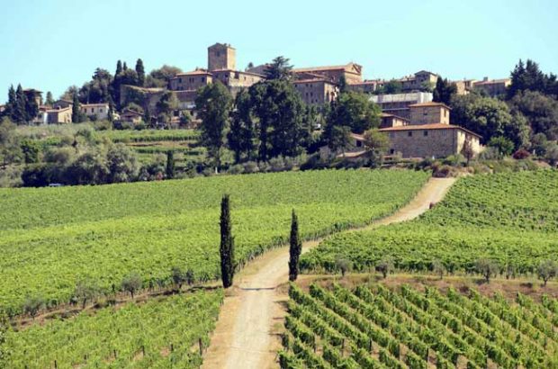 Fontodi Flaccianello della Pieve Vertical