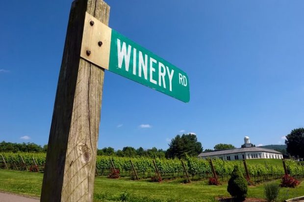 Barboursville Vineyards, Virginia wine