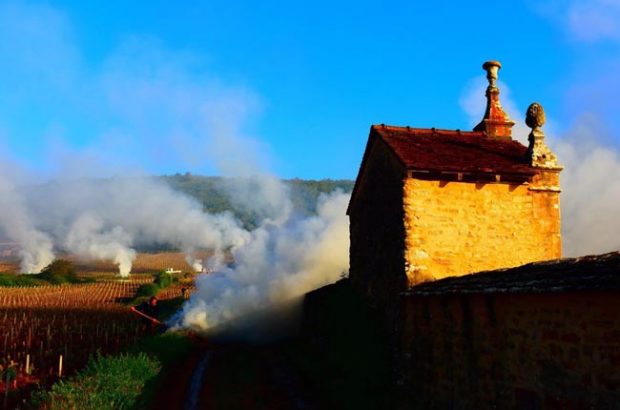 2017 Côte de Nuits en primeur
