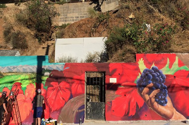 Valparaiso wine graffiti