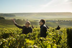 Champagne chef de cave