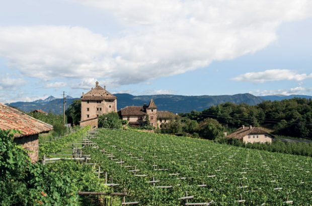 Eppan South Tyrol Italy, Pinot Bianco Italy
