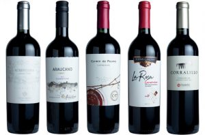 Chilean Carmenere