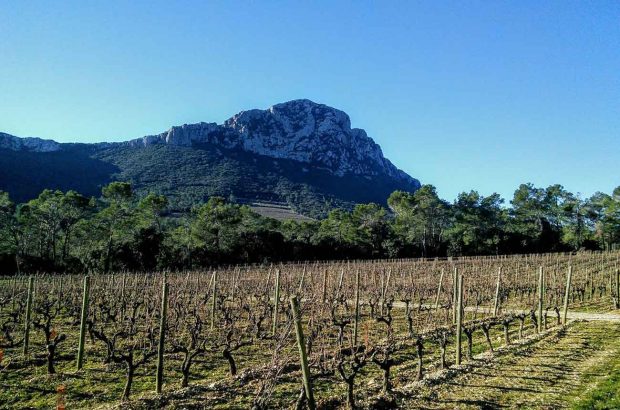 Domaine de l’Hortus