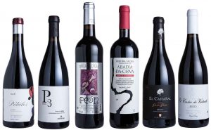 Spanish Mencía wines