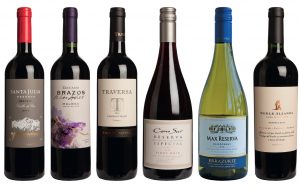 Best South American Wines
