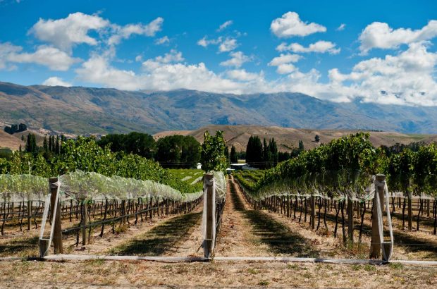Central Otago Pinot Noir 2017