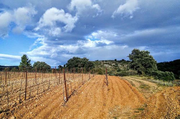 Grés de Montpellier