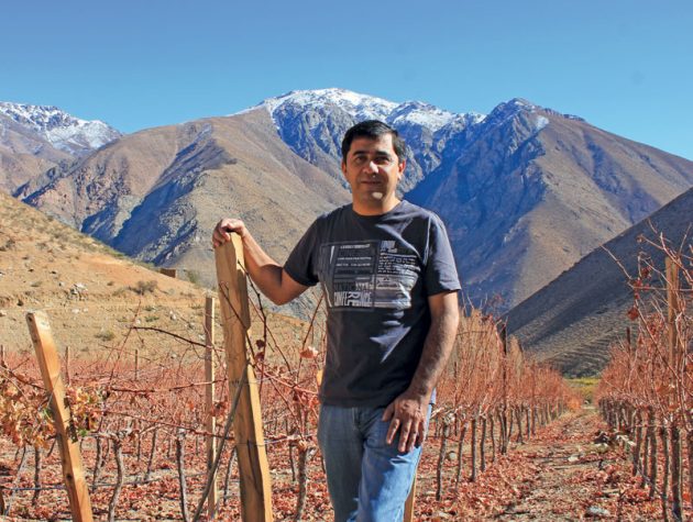 Marcelo Retamal among the young vines of the Alcohuaz vineyard in Chile’s high Elqui Valley