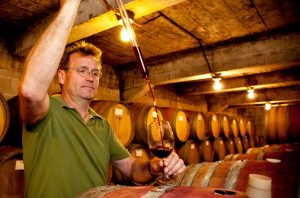 Mount Eden Cabernet Sauvignon Comparison