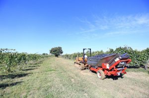 Vino Nobile di Montepulciano 2016 & 2015 Riserva