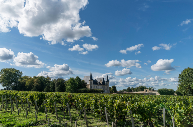 Bordeaux weekend, vineyards guide