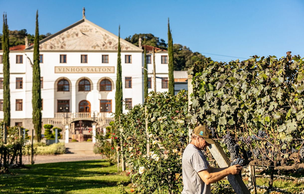 Brazil wineries to visit Serra Gaúcha Decanter