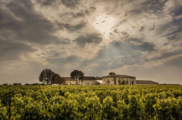 good Bordeaux vintage, Châteaux Canon vineyards