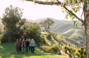 Wine Country film review