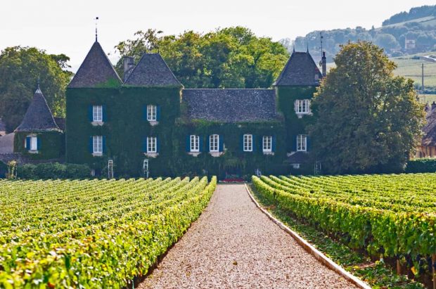 clos commaraine, burgundy