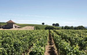 St-Emilion grand crus