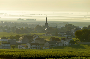 Côte des Blancs wineries