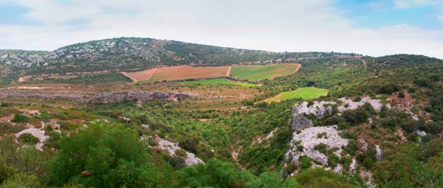 Languedoc-Roussillon