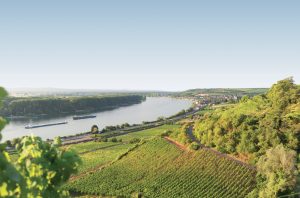 Roter Hang, the red sandstone slopes that lie between Nierstein and Nackenheim