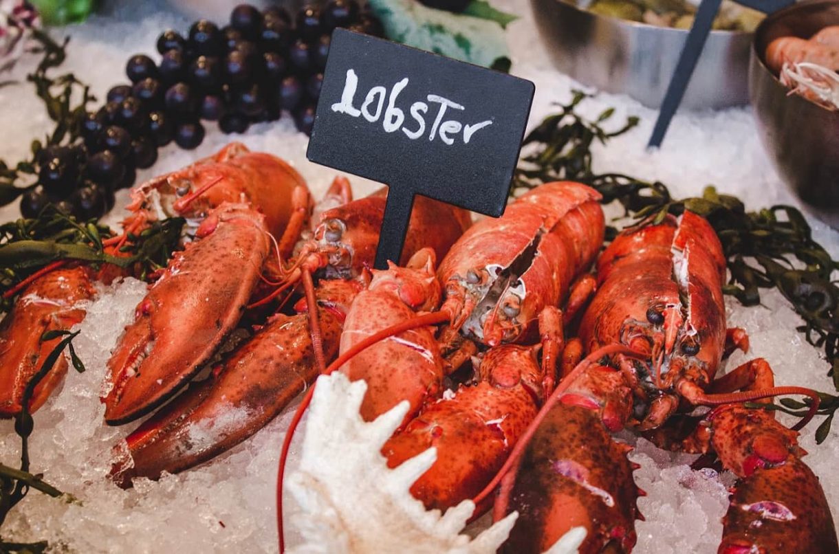 Wines with lobster Which styles go well? Ask Decanter