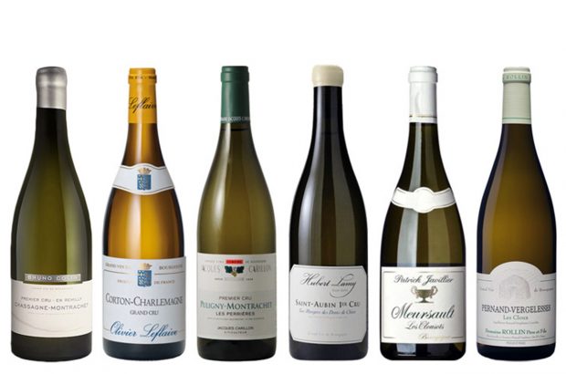 2010 white Burgundy wines