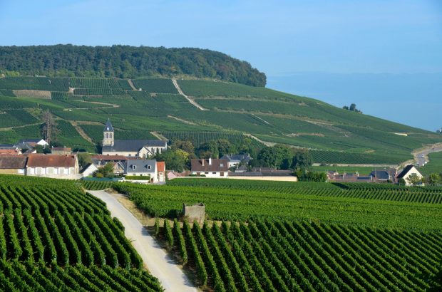 Introducing Coteaux Champenois