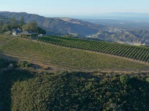 Mount Eden Vineyards perches 600m up in the Santa Cruz Mountains