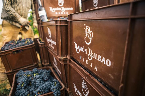 Ramón Bilbao Mirto Vertical