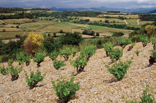 Southern Rhone