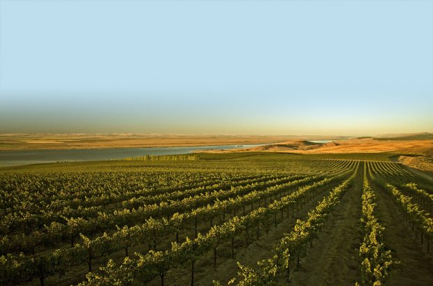 Washington State pioneers