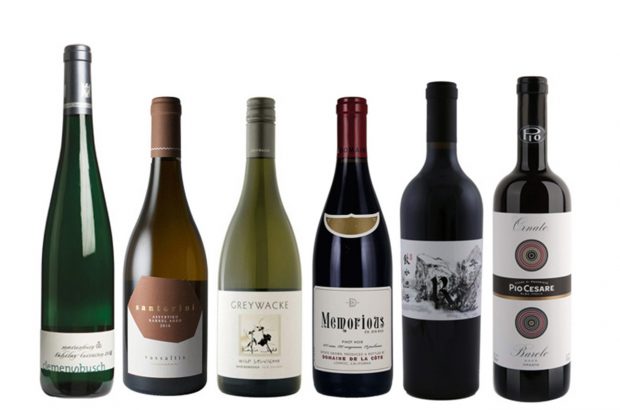 Best single varietal wines