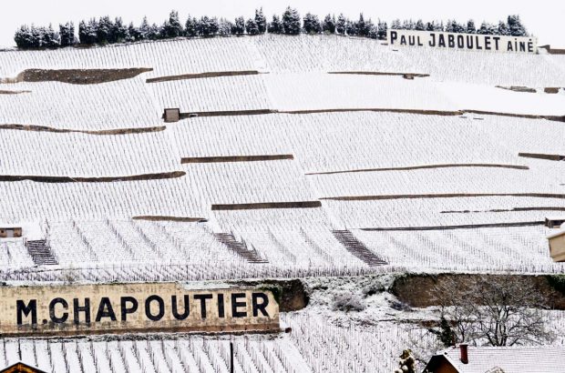 Hermitage vintage guide