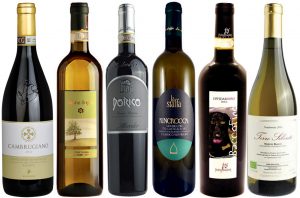 Le Marche wines