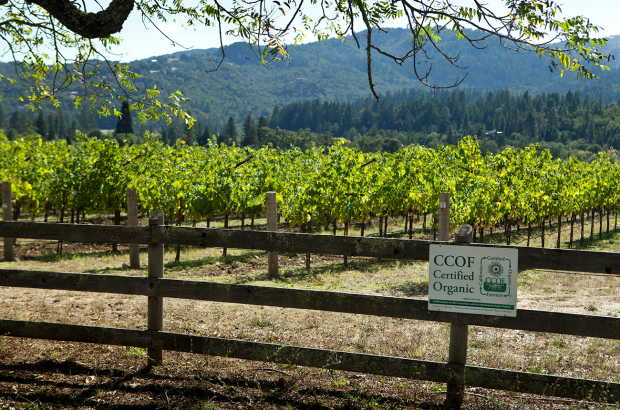 Napa Organic wineries