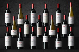 Penfolds Collection 2019