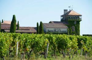 bordeaux 2019 white wine harvest