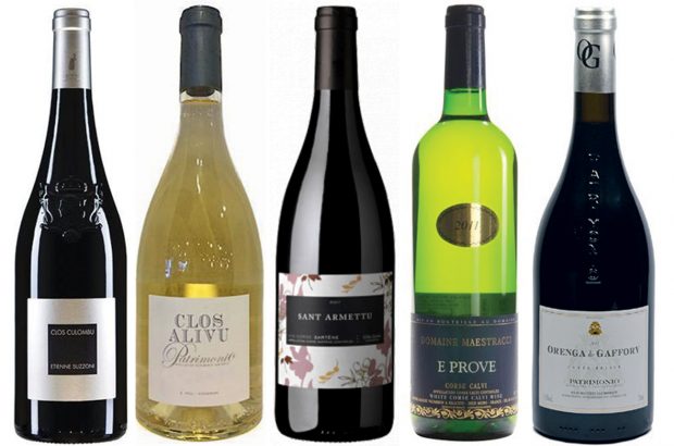 Corsica wines