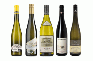 Top Ertse Lagen wines