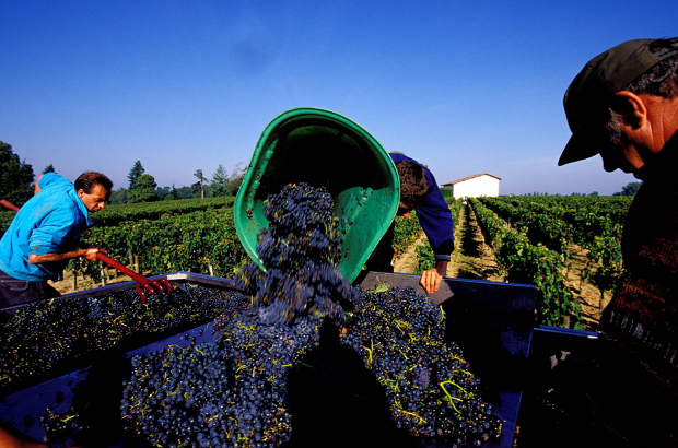 Lalande-de-Pomerol wines