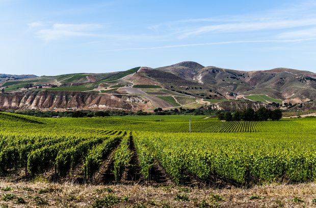 Santa Barbara County AVA