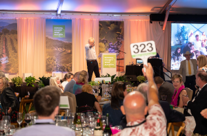 Sonoma Wine auction 2019