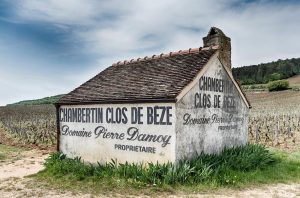 Best Burgundy Vineyards