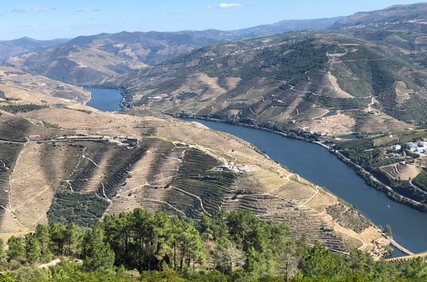 A river valley with mountains