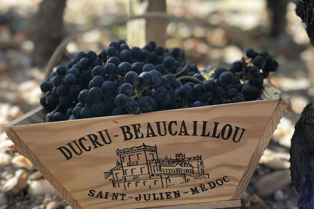Château Ducru-Beaucaillou