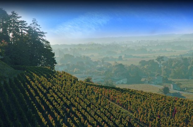 Château Larcis Ducasse