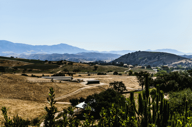 Santa Ynez Valley
