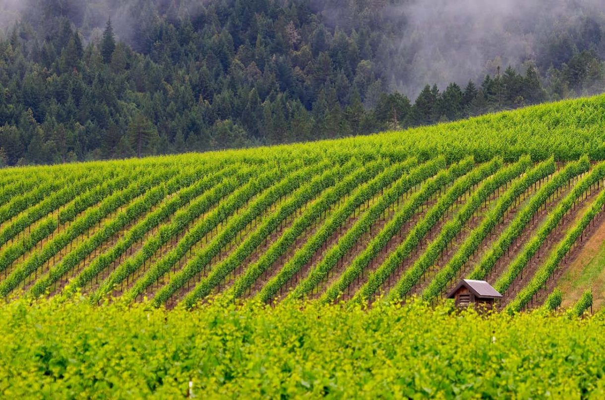 Jackson Family Wines buys winery in California’s Anderson Valley