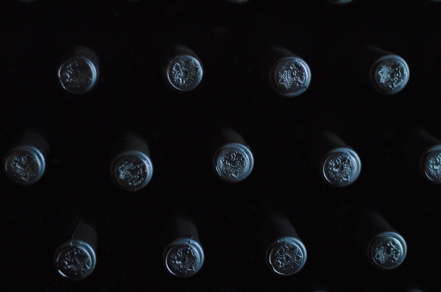 Vosne, Grivot Méo-Camuzet